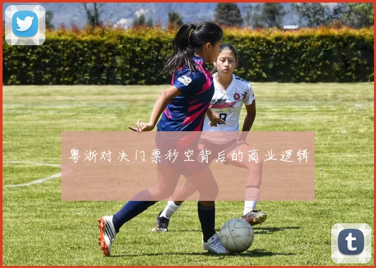 粤浙对决门票秒空背后的商业逻辑
