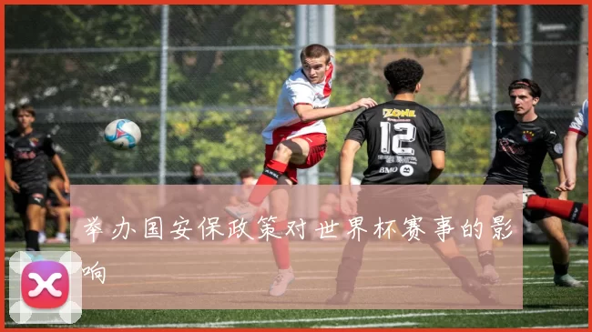 举办国安保政策对世界杯赛事的影响